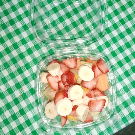 Biónico