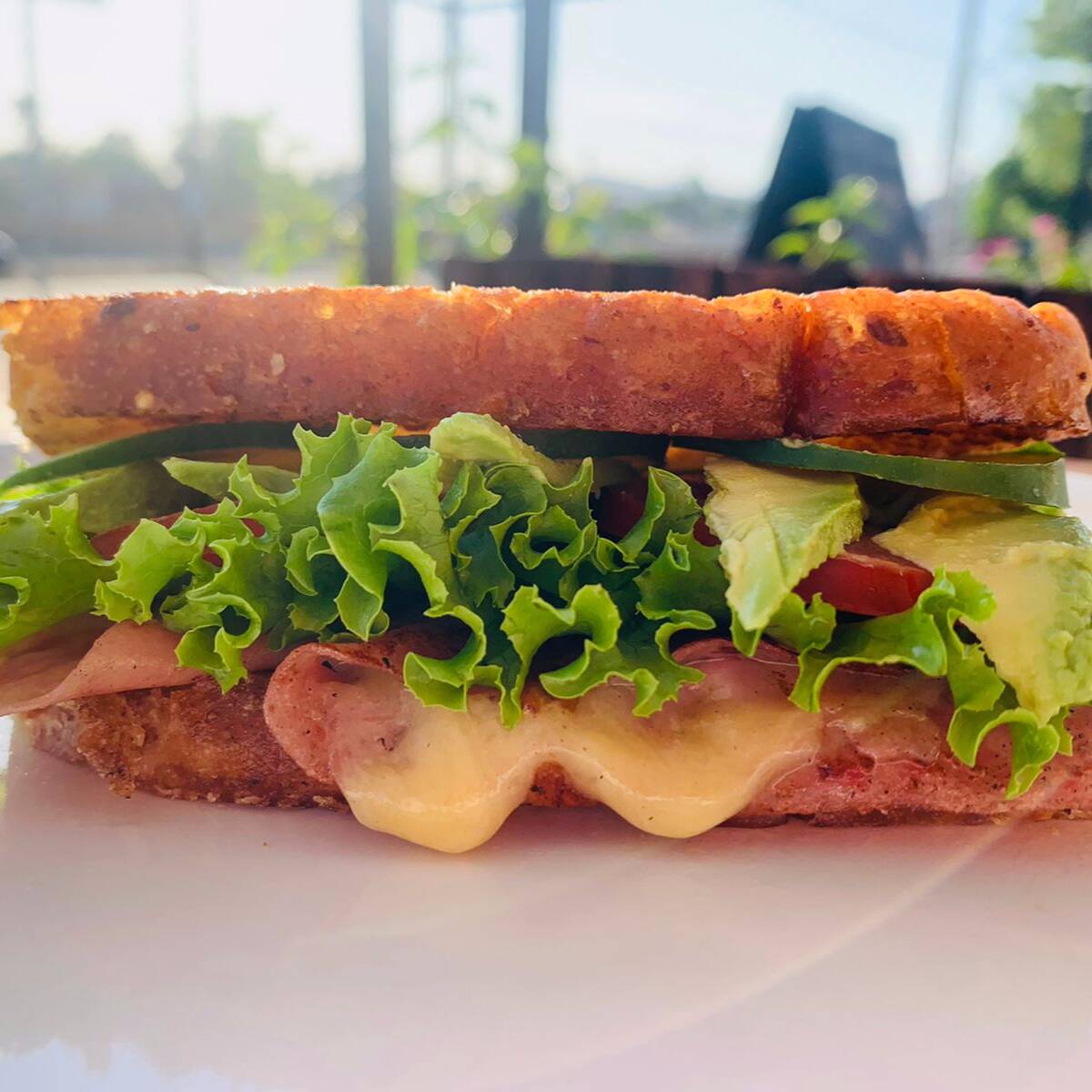 Sándwich Clásico de Jamón