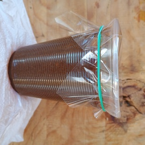 Vaso de mole mediano