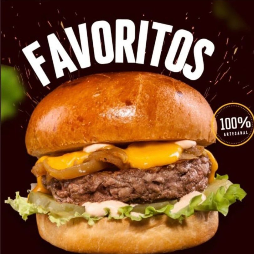 Pão brioche , 120gr de carne , cheddar , cebola no shoyo , molho e salada .