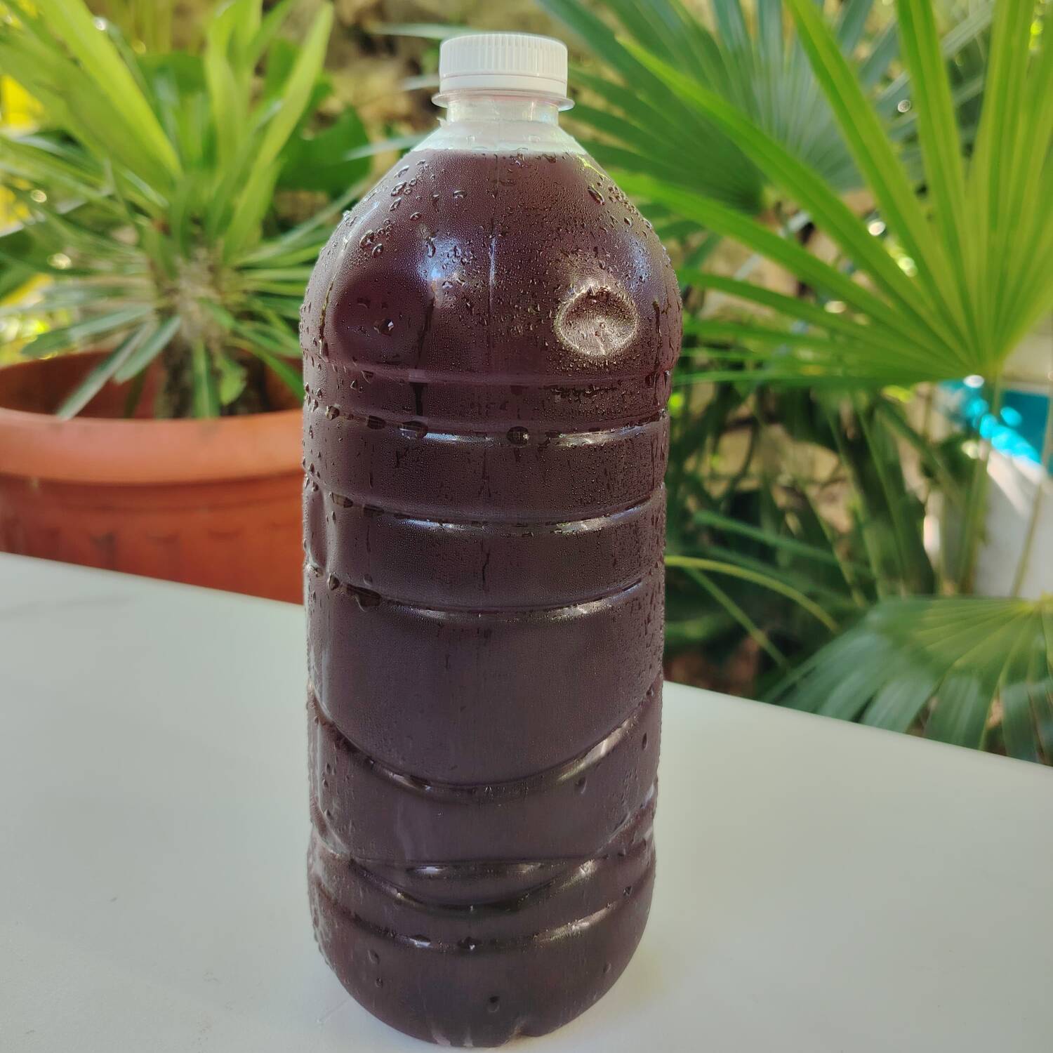 Jamaica 1 L