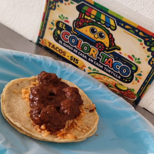 Mole Rojo con Trocitos de Puerco