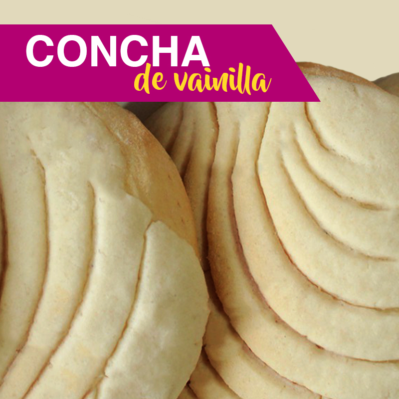 Concha de Vainilla