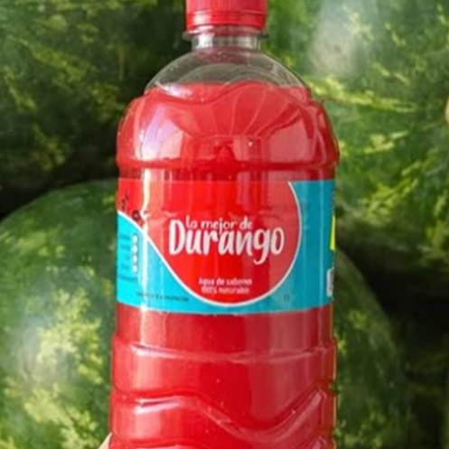Agua de Jamaica 600 Ml