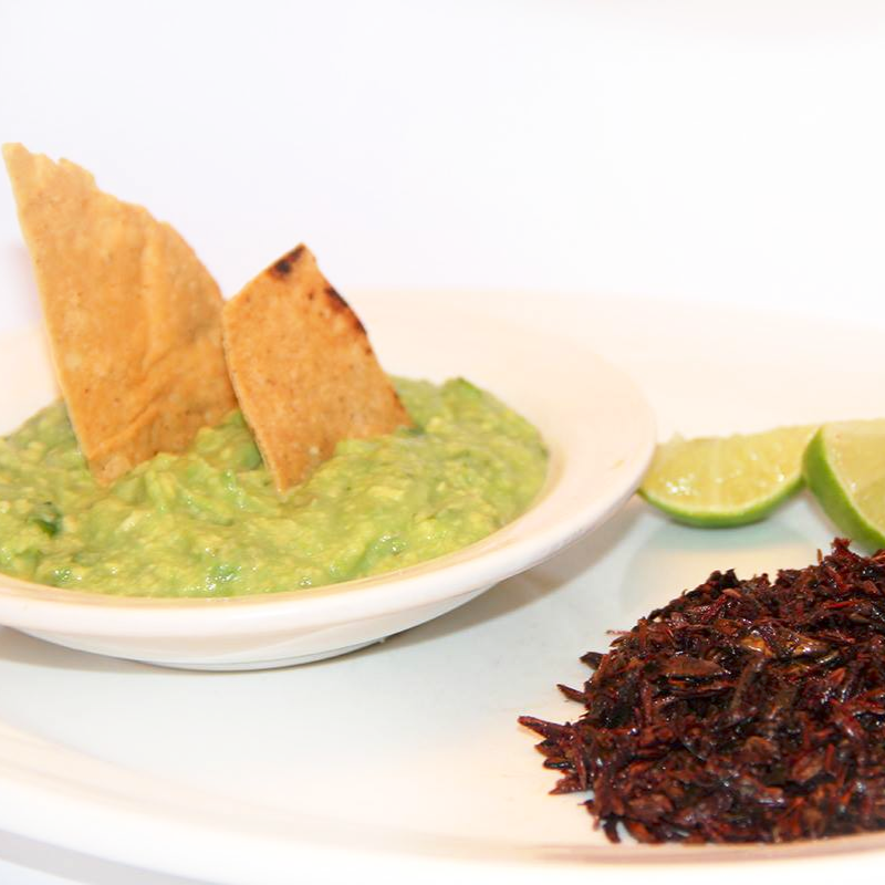 Guacamole con Chapulines