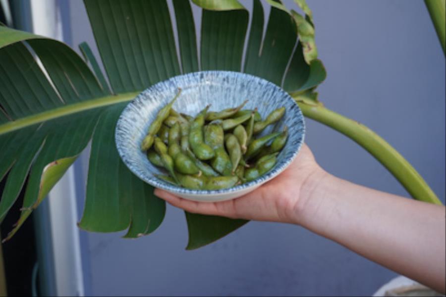 EDAMAMES SALTEADOS CON PONZU