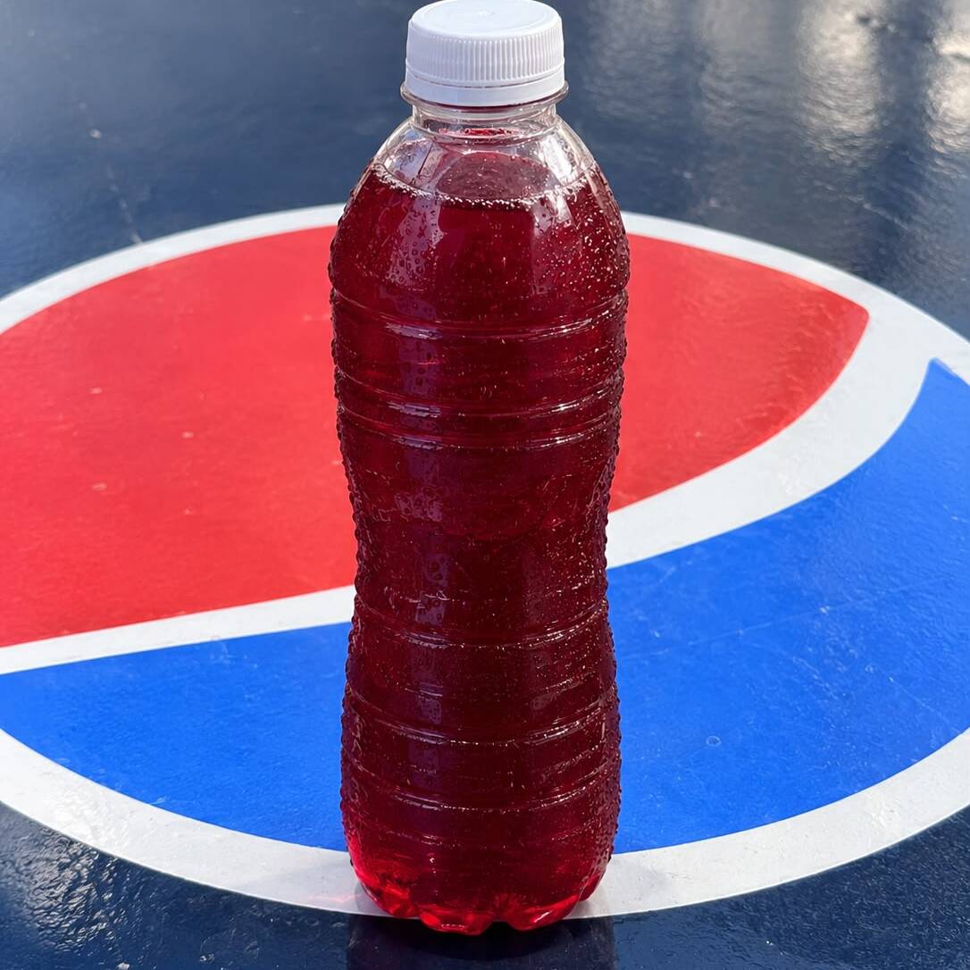 Agua Fresca de Jamaica Embotellada 500 ML