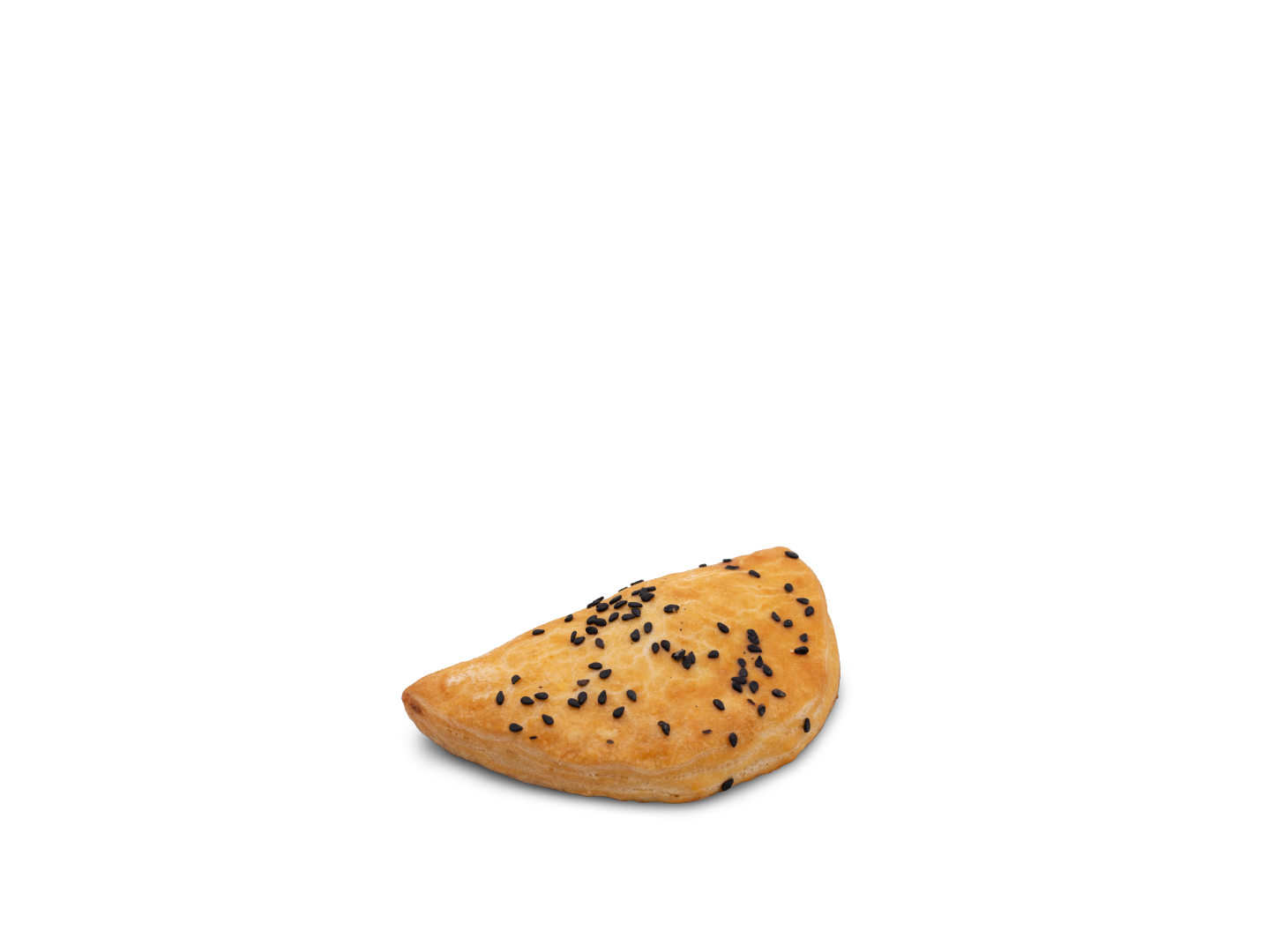 Empanada de Carne