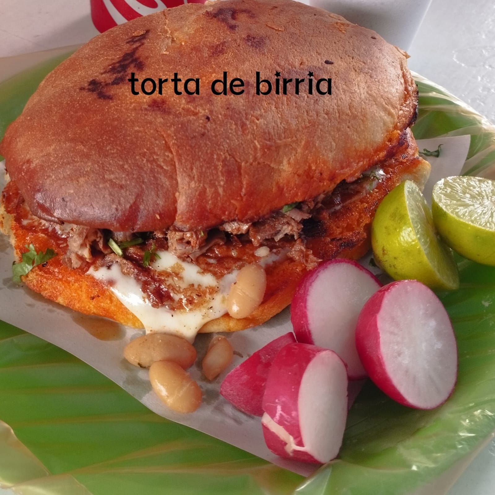 Torta de birria