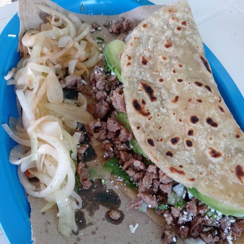Harina Grande Bisteck