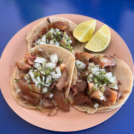 Taco de Trompa