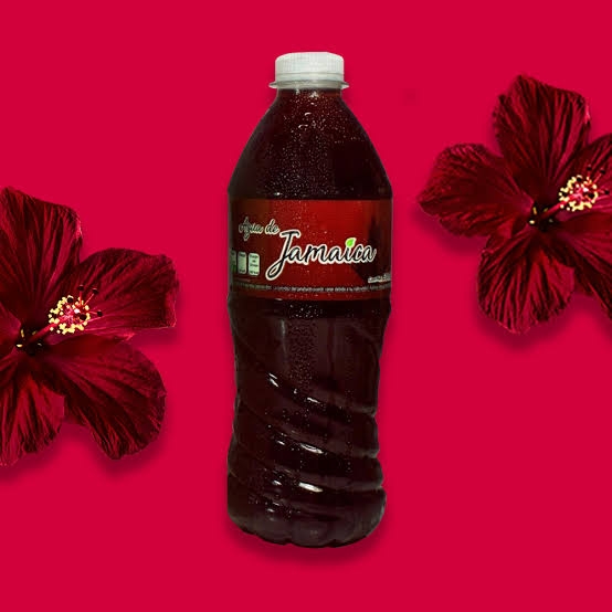 Agua Sabor Jamaica Tagare 500 ml