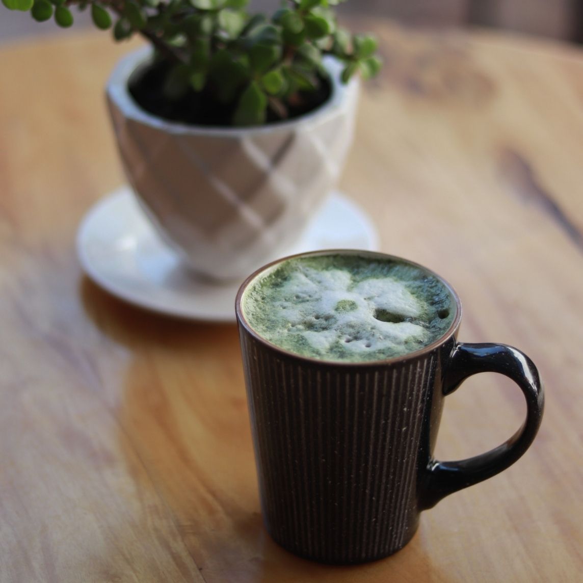 Matcha Milk (16 oz)