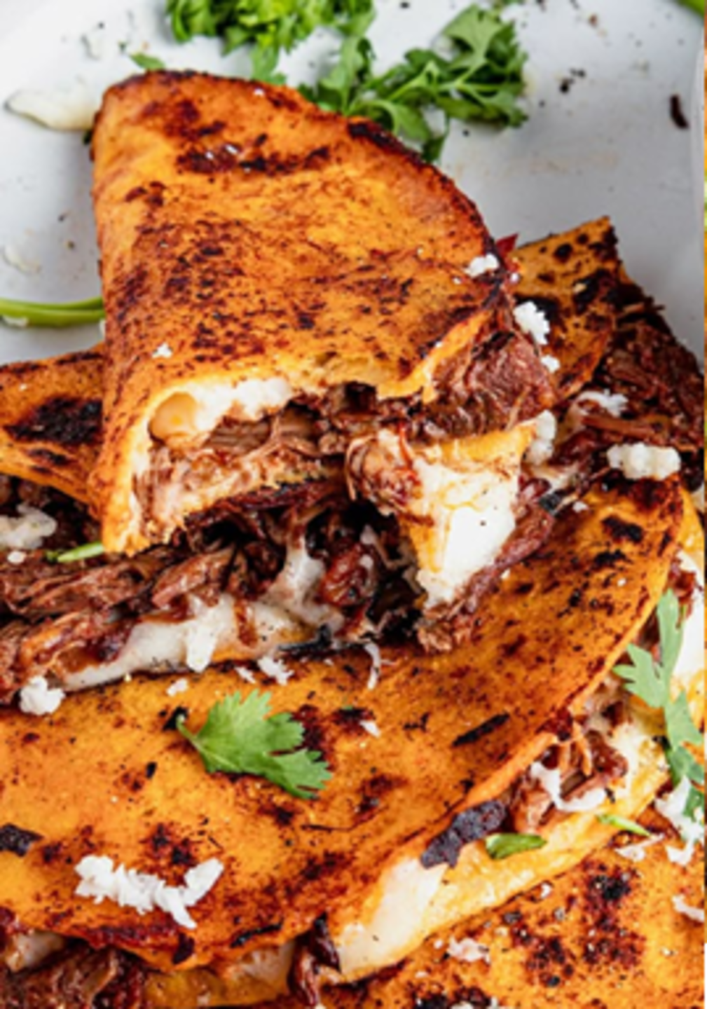 QUESA-BIRRIA