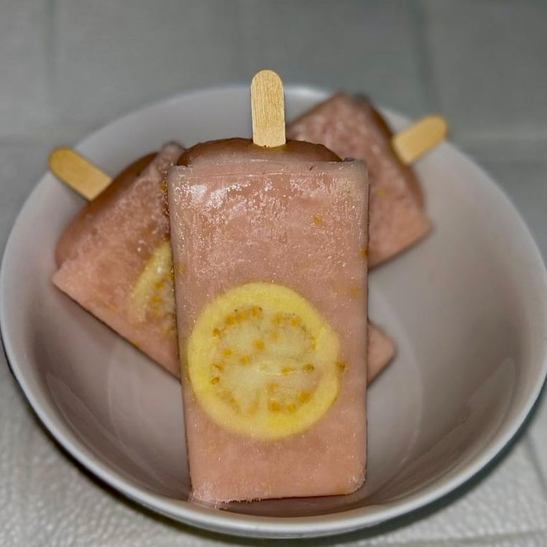 PALETA DE GUAYABA