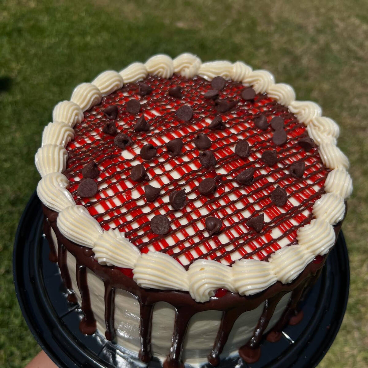 Pastel De Gansito