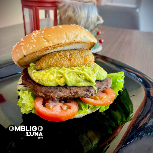 HAMBURGUESA MEXA
