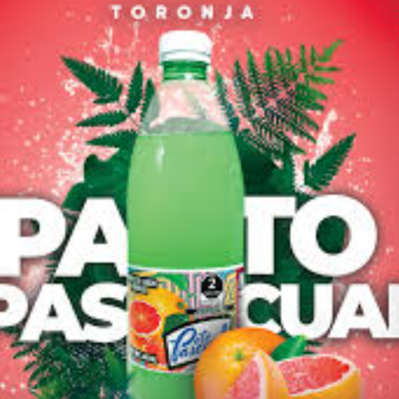 Refresco Pato Pascual Sabor Toronja 600ml.