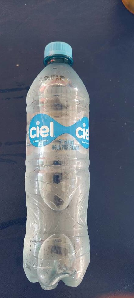 Agua Natural Ciel 600 Ml Desechable
