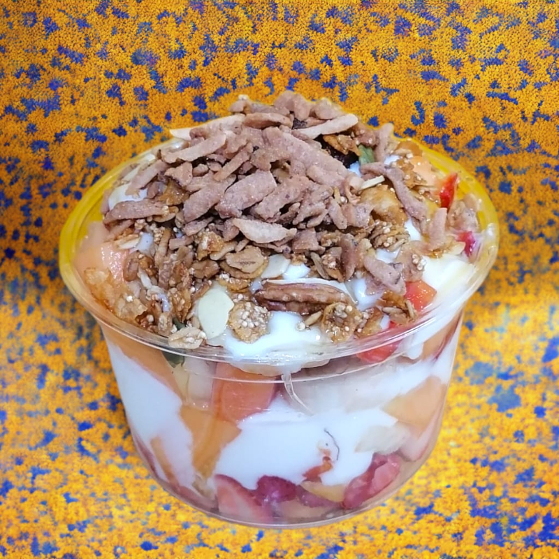 Biónico Mediano Yogurt GDL