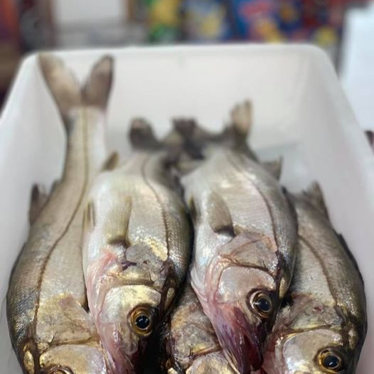 Pescado Robalo Entero