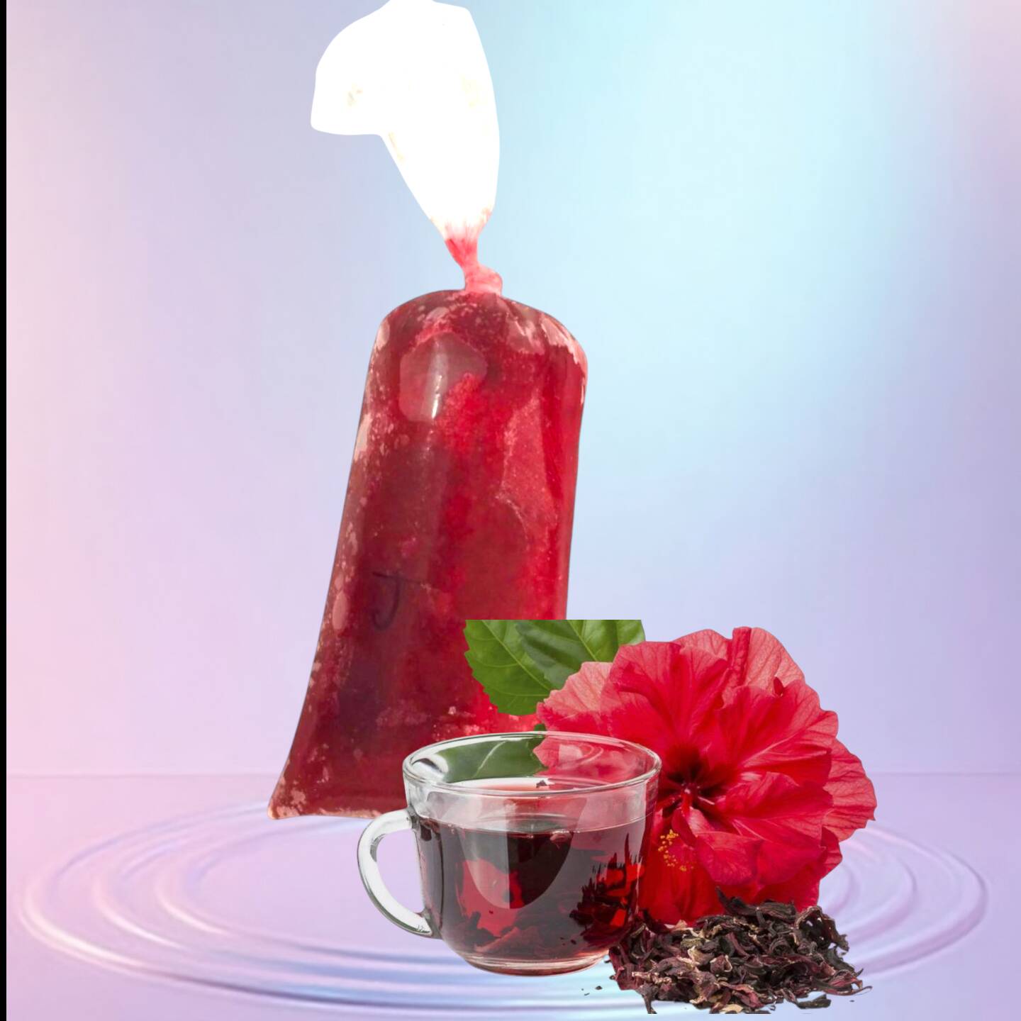 HELADO DE JAMAICA
