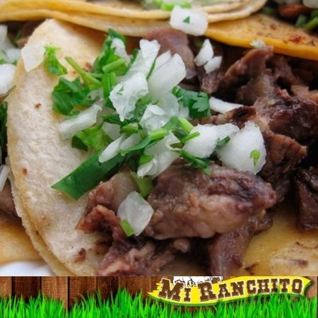 Taco Barbacoa de Res Surtido