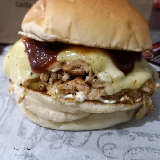 PÃO, 2 CARNES 55G, QUEIJO, PRESUNTO, OVO, BACON, FRANGO DESFIADO, CATUPIRY, MILHO, ALFACE TOMATE.