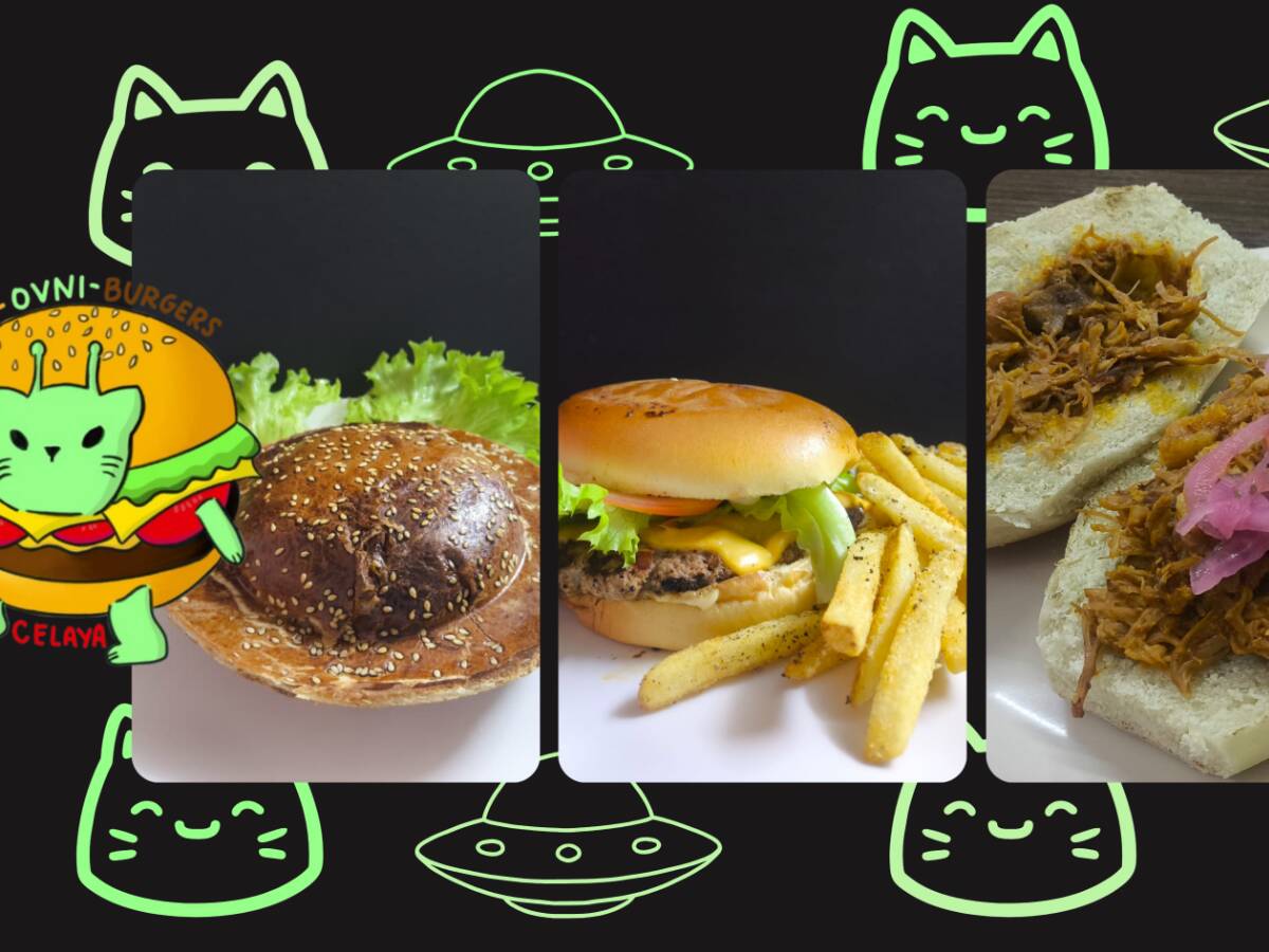 Michi-ovni-burguers