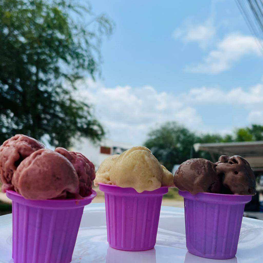 NIEVE O HELADO ARTESANAL (5 Oz.)