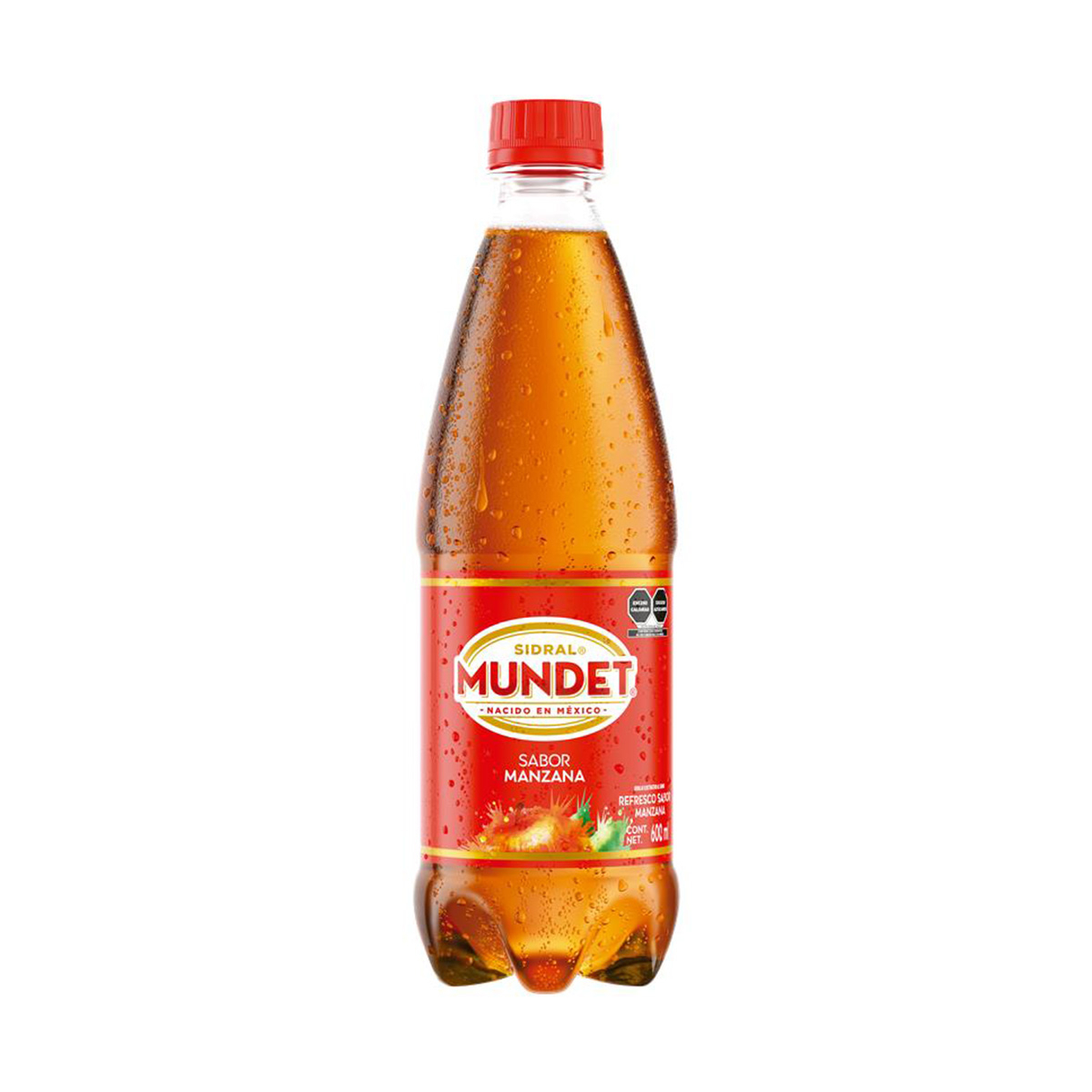 Sidral Mundet 600