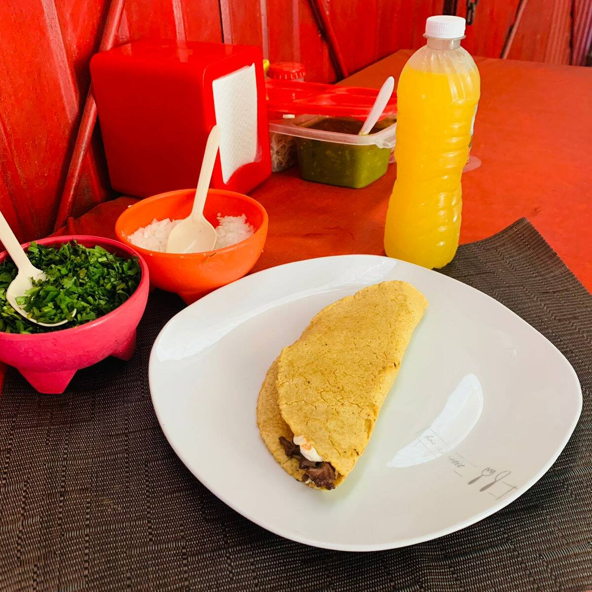 Quesadilla de Pastor