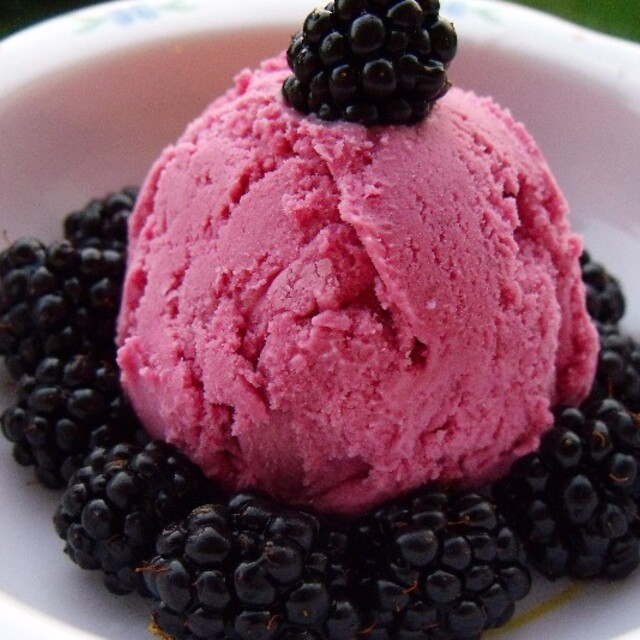HELADO DE ZARZAMORA (COPA)