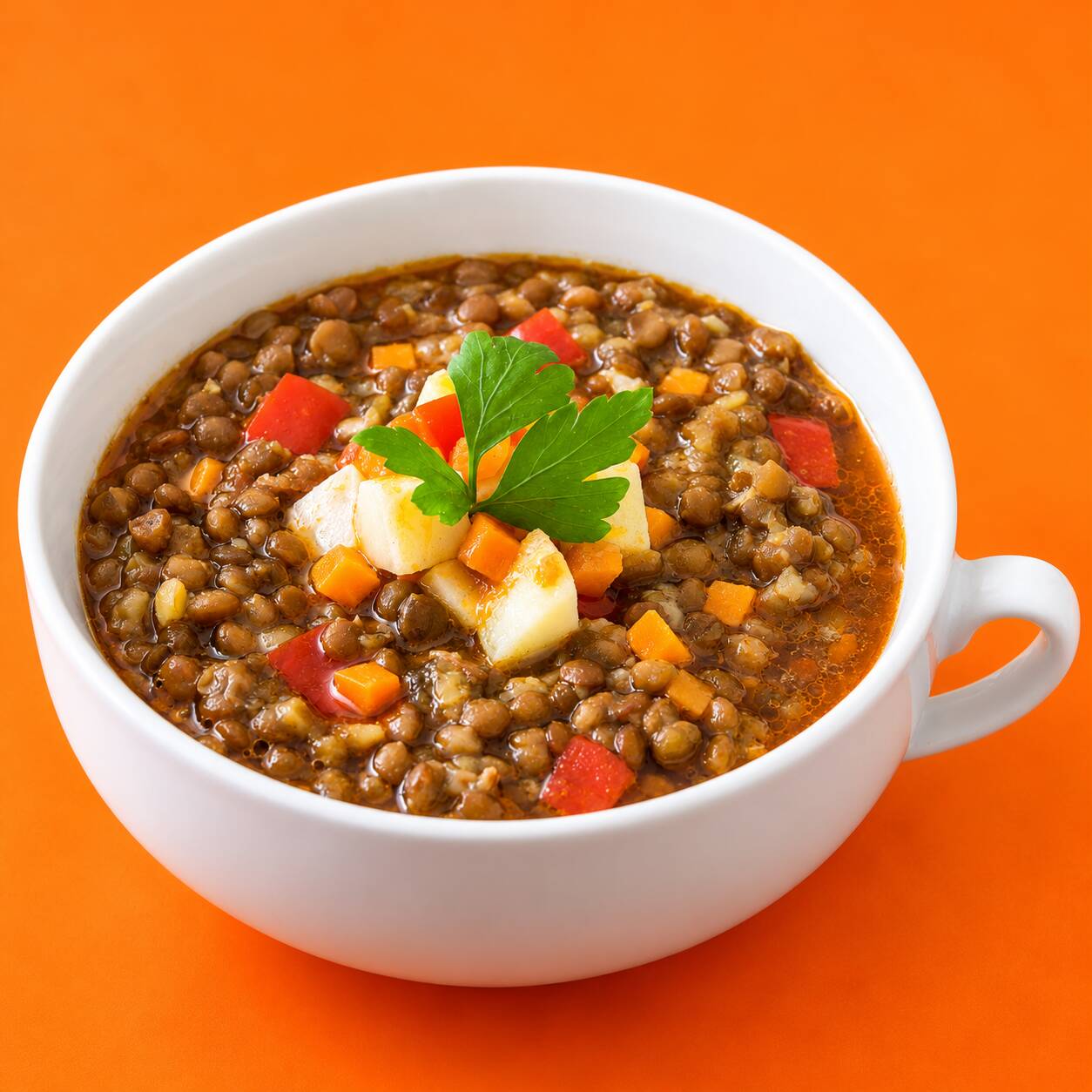 Sopa del Día