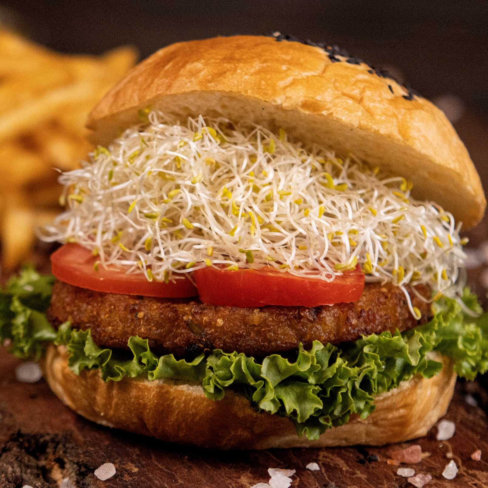 Machita Burguer
