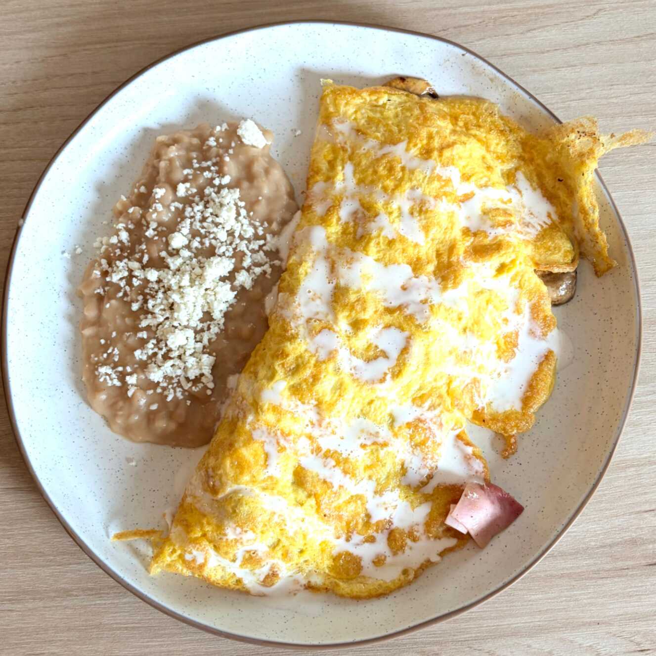 Omelette *Platalea*