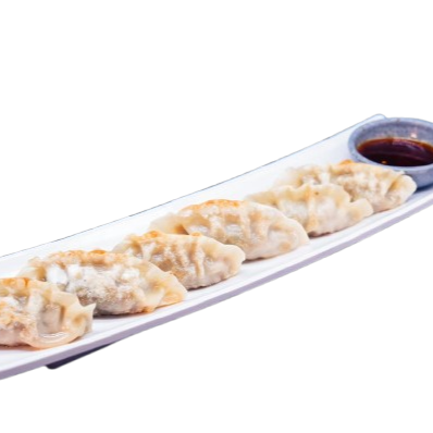Dumplings de Res Fritos