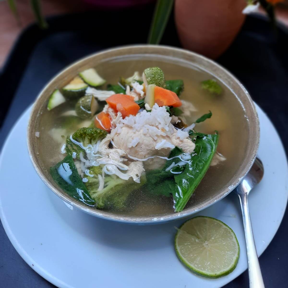 Caldo de Verduras con Pechuga y Arroz