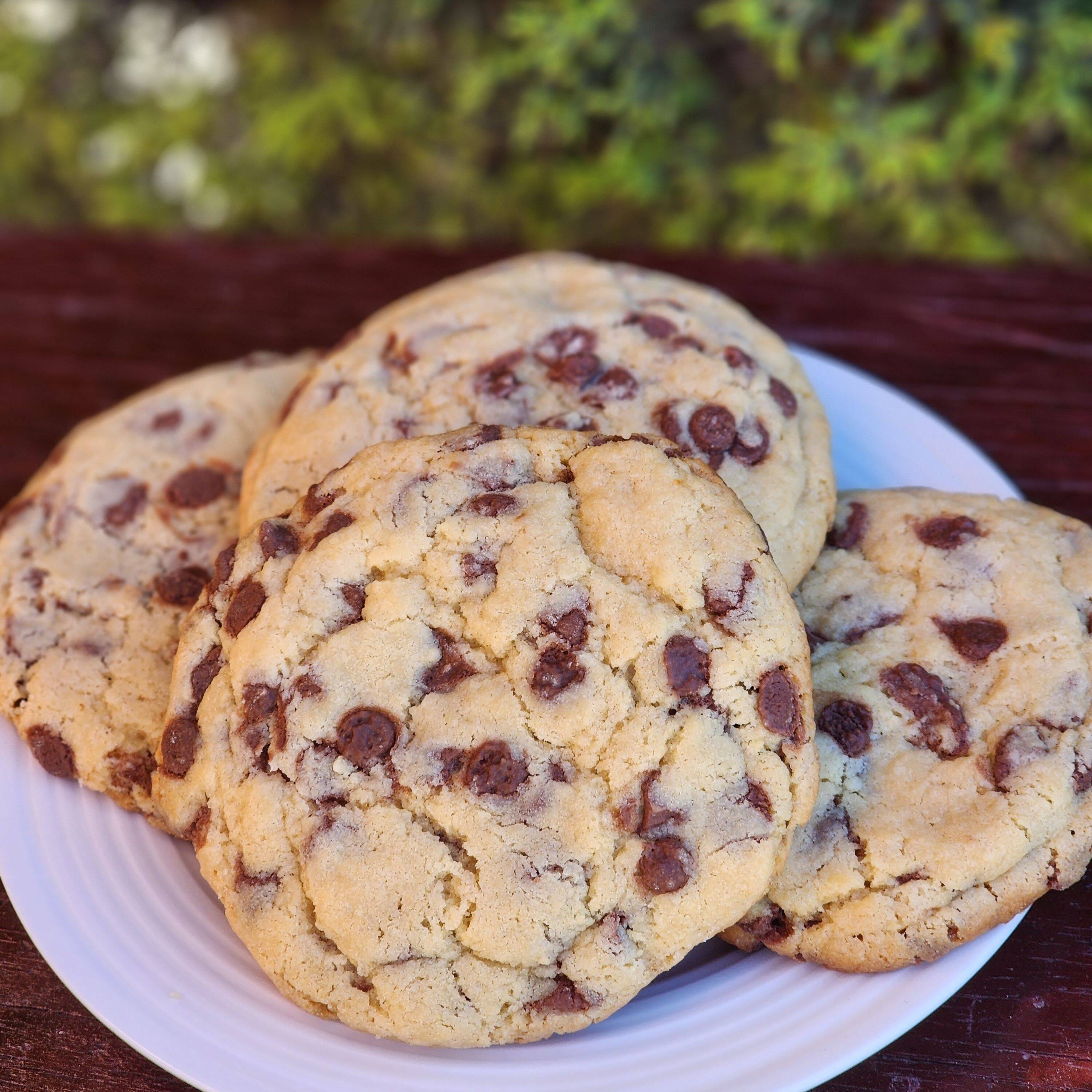 Galleta con Chispas de Chocolate