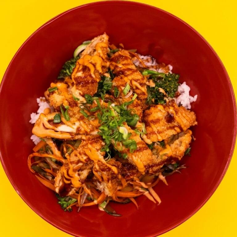 Katsudon
