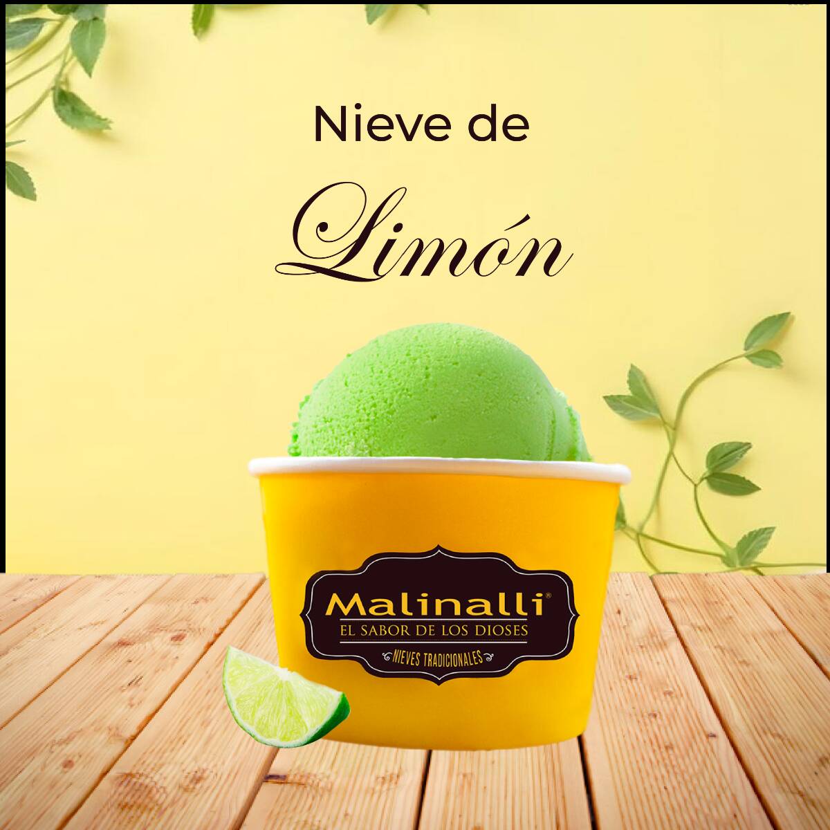 Litro de Nieve (Agua)