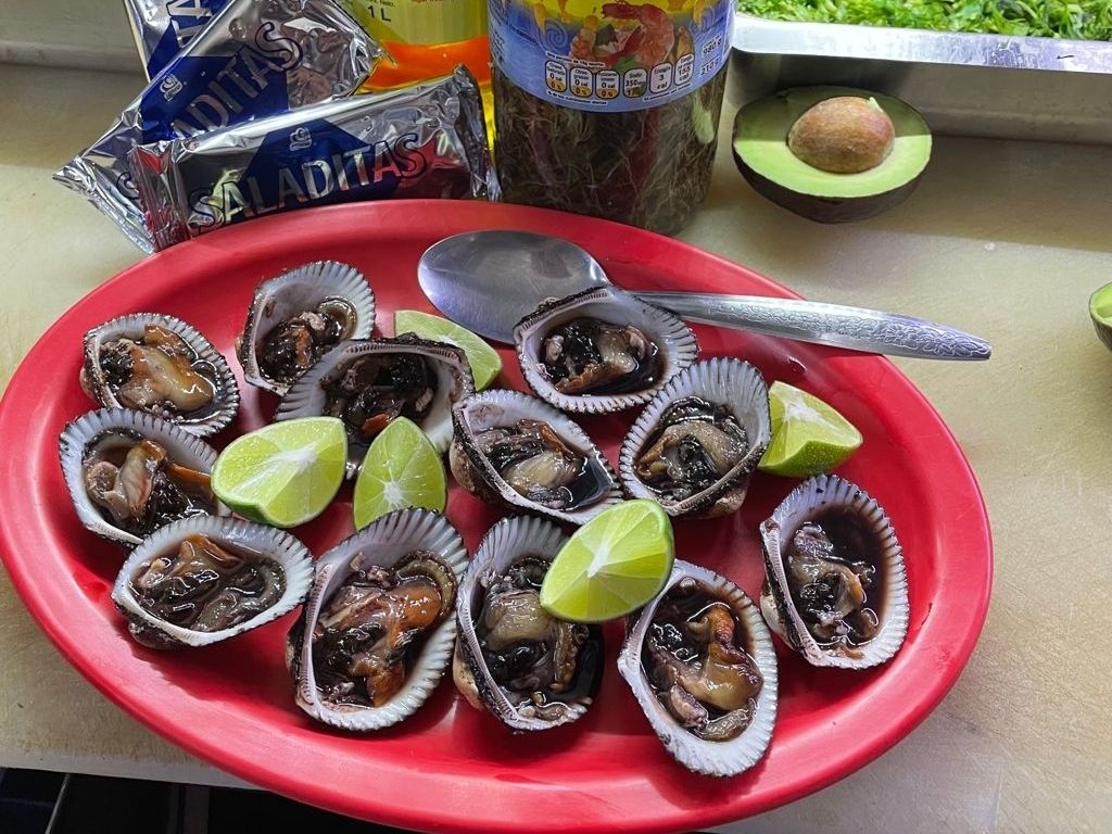 Pata de Mula en su Concha