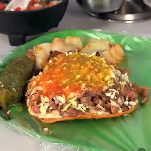 Vampiro de Tripa