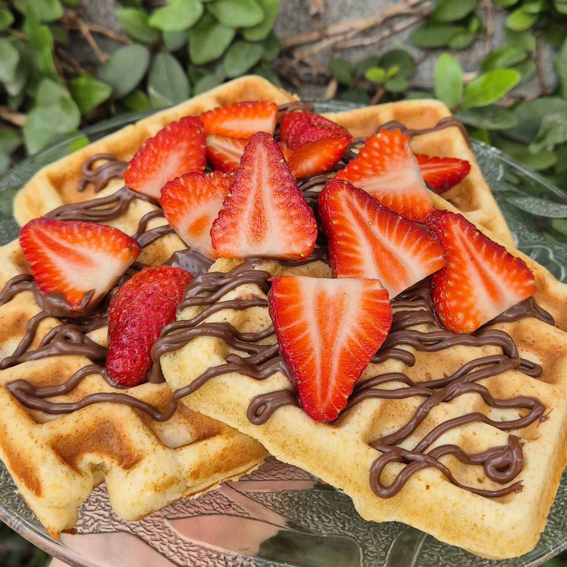 Fresas y NUTELLA
