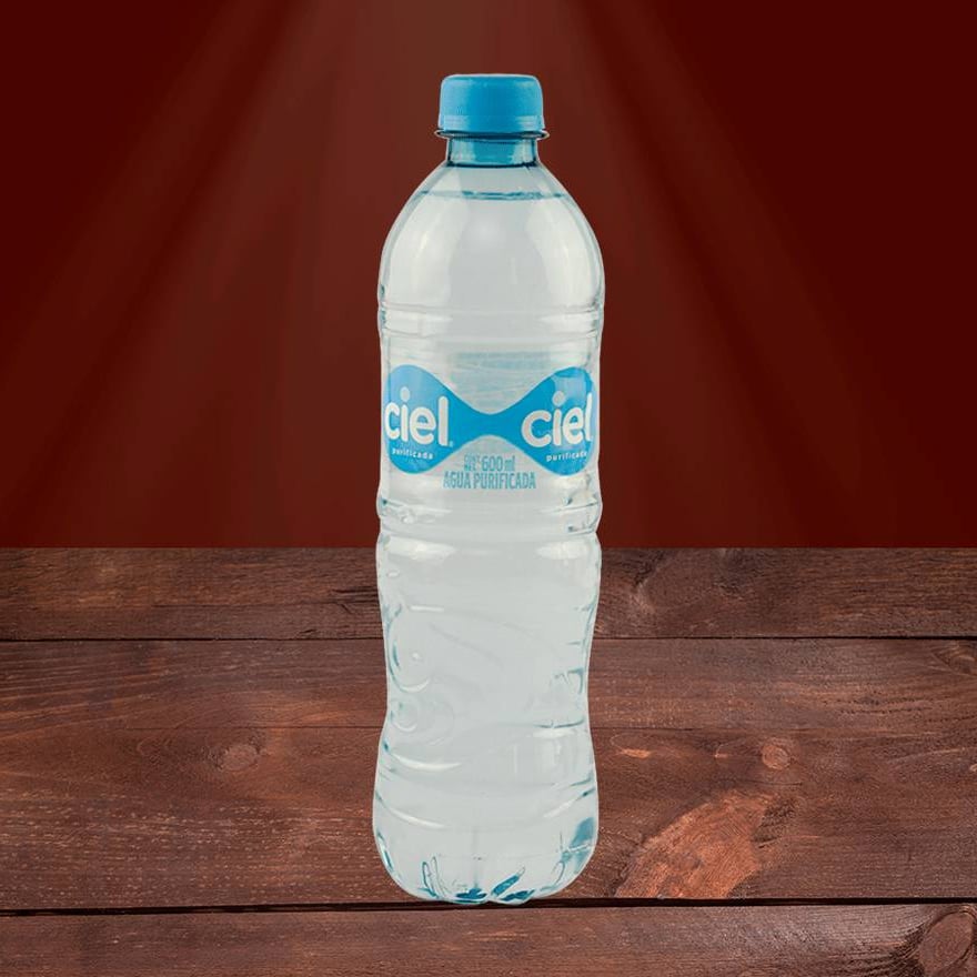 Agua Botella Tr 600 Ml