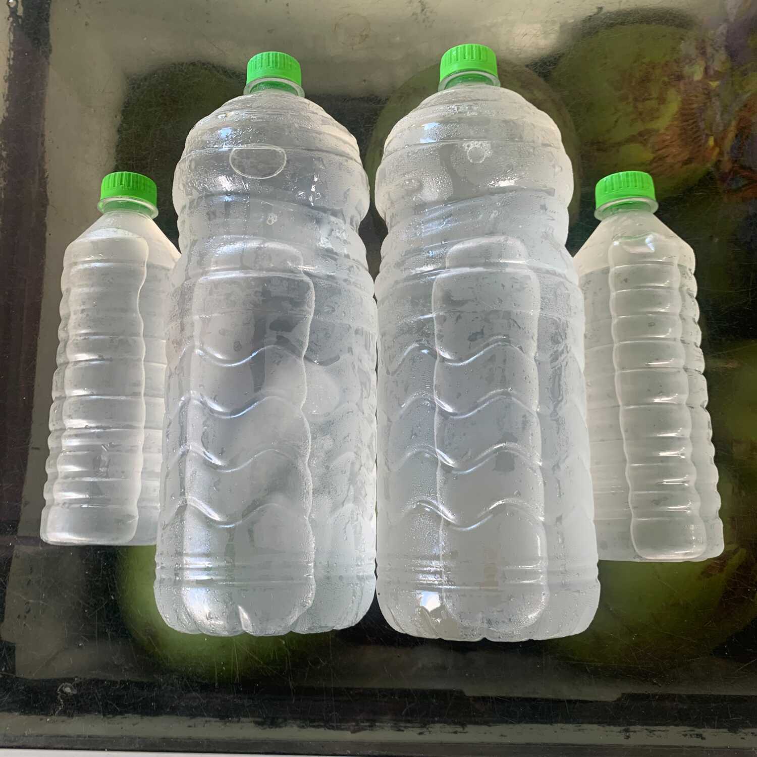 4 garrafas de água de coco 2 de 500 ml e mas 2 de 2 litros