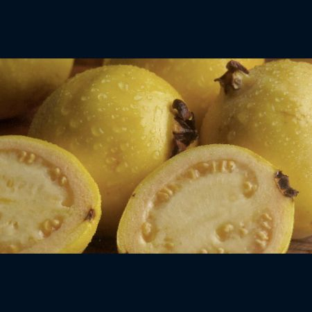 LICUADO DE GUAYABA