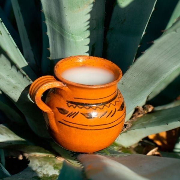 Pulque 500 ml