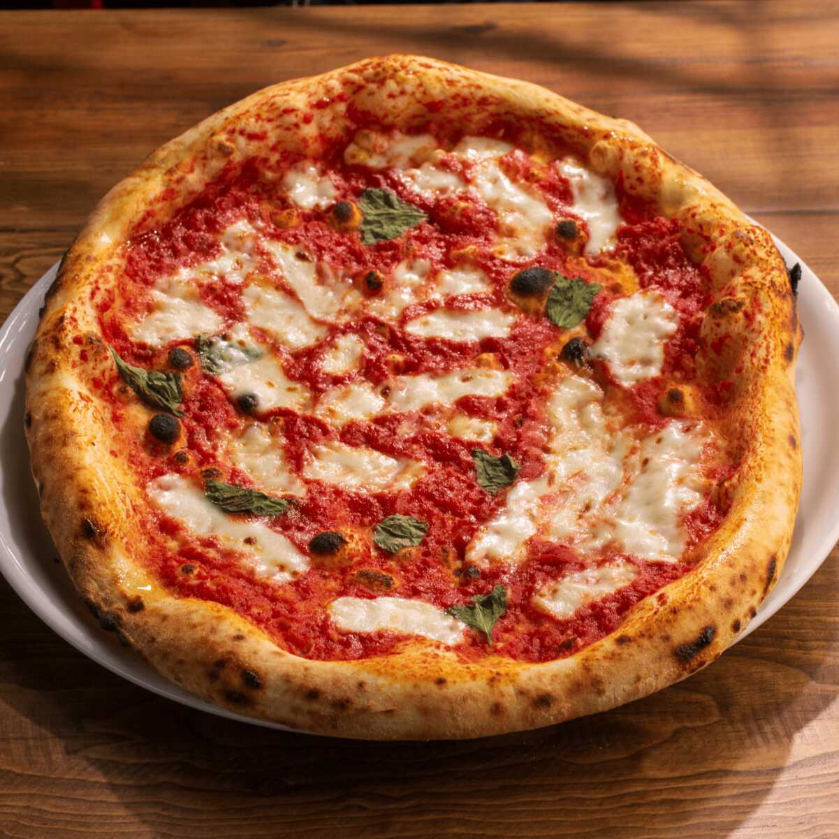 Pizza Margherita