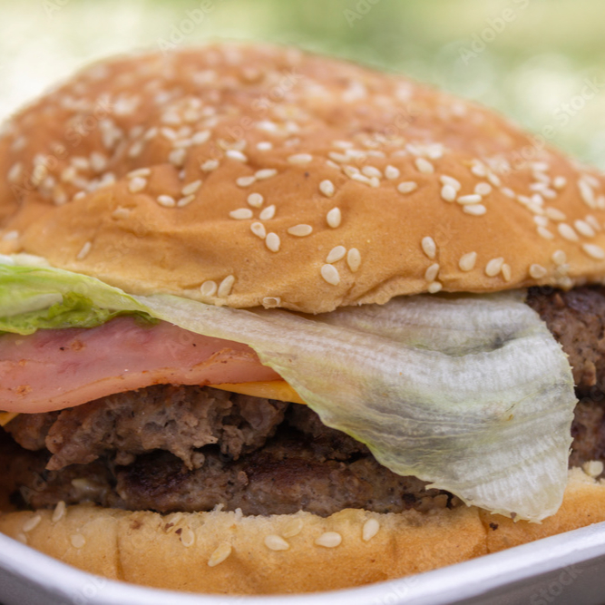 Hamburguesa Especial